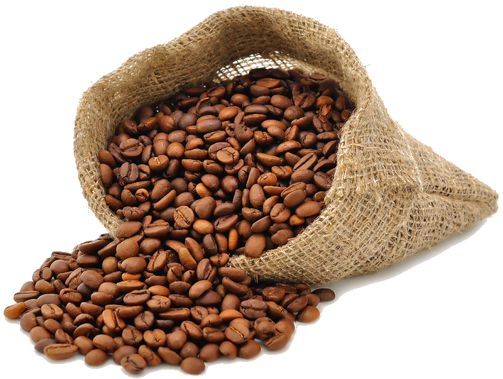 1 lb ground coffee beans - Curious Bean