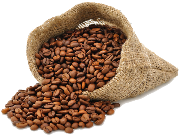 1 lb ground coffee beans - Curious Bean